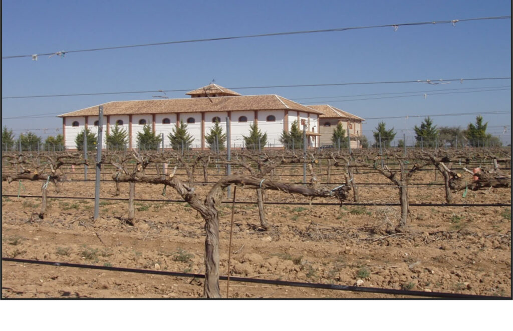 Bodega de capricho