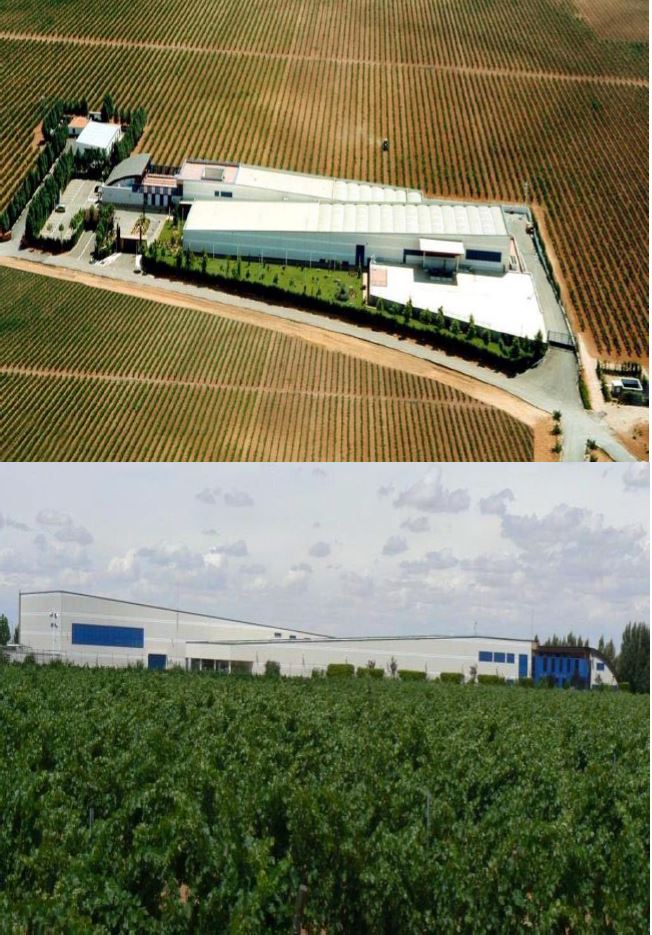 Bodega en la zona de la Mancha