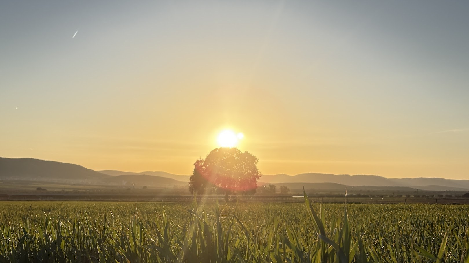 Fincas Invest
